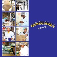 Tekweni Foods logo - Similar company to Fry Group