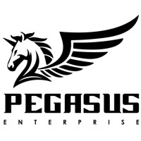PEGASUS ENTERPRISE logo - Similar company to Sapphire Technologies Pvt Ltd