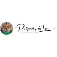 Photography del Leon logo - Similar company to Photography By Kmc