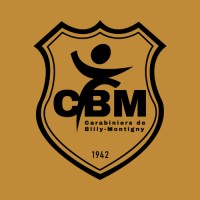 Les Carabiniers de Billy-Montigny handball logo - Similar company to Médiane