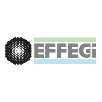Effegi srl logo - Similar company to Effegi Srl