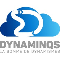 DYNAMINQS logo - Similar company to Moliboli