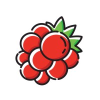 FoodBerry logo - Similar company to Flatstudio