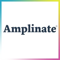 Amplinate logo - Similar company to Exafield Brazil