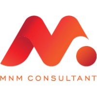 MNM CONSULTANT logo - Similar company to Prime It Solutions