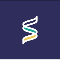 Synergy Systematics logo - Similar company to Sona