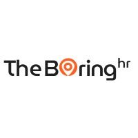 The Boring HR logo - Similar company to Lmf Web Solutions