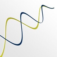 Selking Performance Group logo - Similar company to Pro Mindset