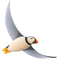 POCKANN Consulting logo - Similar company to Doublev Conseil