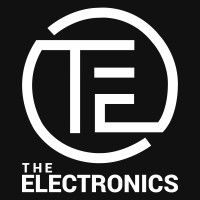 The Electronics logo - Similar company to Dichaba Consumer Electronics