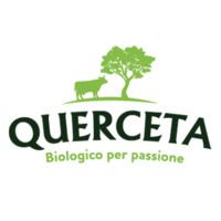 Querceta logo - Similar company to Maxi Srl