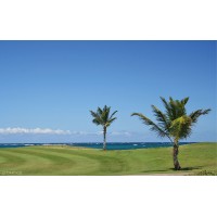 KC Cheng logo - Similar company to Sync Properties