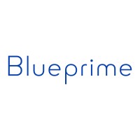 Blueprime logo - Similar company to Risktopics