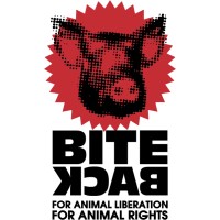 Bite Back vzw logo - Similar company to Vegab