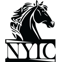 NYIC NEW YORK INTERNATIONAL CAPITAL logo - Similar company to Zaarvii Technologies