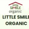 Little Smile Organic logo - Similar company to Global Processing Service Pvt Ltd