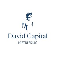 David Capital Partners, LLC logo - Similar company to Valueworks, Llc