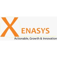 Xenasys Private Limited logo - Similar company to Karsaaz Solutions