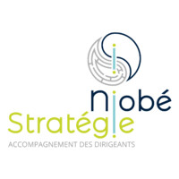 Niobé Stratégie logo - Similar company to Exo Levage