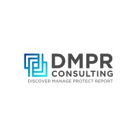 DMPR Consulting logo - Similar company to Cto365