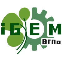 iGEM Brno logo - Similar company to Spicycells