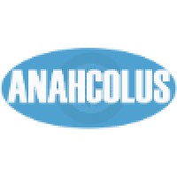 Anahcolus It Solutions Pvt Ltd