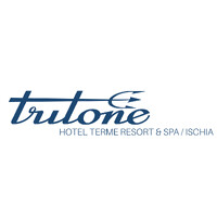 Hotel Terme Tritone Resort &Spa logo - Similar company to Lexem Consulting