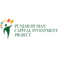 Punjab Human Capital Investment Project logo - Similar company to Texoss Limited