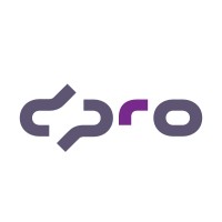 Dpro IT Solutions logo - Similar company to Sarl Ggs