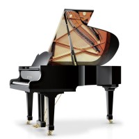 PIANOS MUSIC & ART CENTRE logo - Similar company to Tarkeeza تركيزة