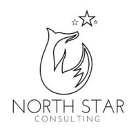 North Star Consulting Uk