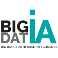 Big DATia logo - Similar company to Bidatia