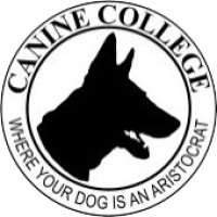 Canine College logo - Similar company to Waves Ae