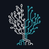 Paradosi Partners logo - Similar company to Qcap Group