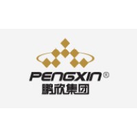 Shanghai Pengxin Group Co., Ltd. logo - Similar company to Alidasoft