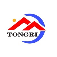 Shandong Tongri Power Science And Technology Co.,Ltd