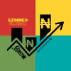 SZINMEOGLOBAL.com logo - Similar company to Riithm Digital