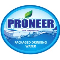 PRONEER logo - Similar company to Proneer