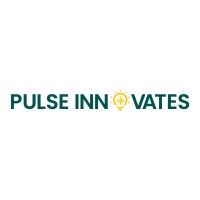 Pulse Innovates logo - Similar company to Vision Future Technologies