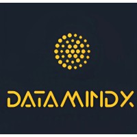 DataMindX logo - Similar company to Valleycom