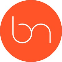 bridging_n logo - Similar company to Prodvis - Cloud Erp Lösungen Für Kmus