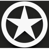 Lonestar Data Holdings Inc. logo - Similar company to Valkyrie