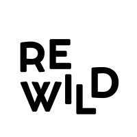 REWILD logo - Similar company to Outdoor Content
