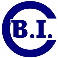 Borrallo Instalaciones, S.L. logo - Similar company to Immerspagna
