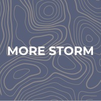 MORE STORM logo - Similar company to Easyflex Nl