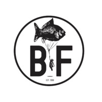 BIGFISH FILMPRODUKTION GMBH logo - Similar company to Matheis Casting