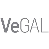 VeGAL Eastern Venice LAG (Local Action Group) logo - Similar company to Lamoro Development Agency