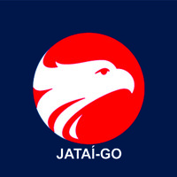 WIZARD JATAÍ logo - Similar company to Jataitech - Parque Tecnológico De Jataí