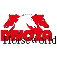 Divoza Horseworld logo - Similar company to Knhs