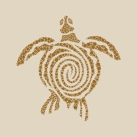 The Sleep Shell logo - Similar company to Light Minds